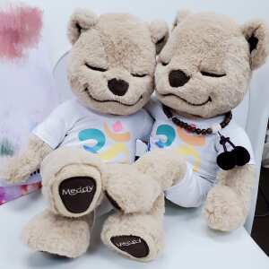 Meddy Teddy 5 star review on 26th August 2021