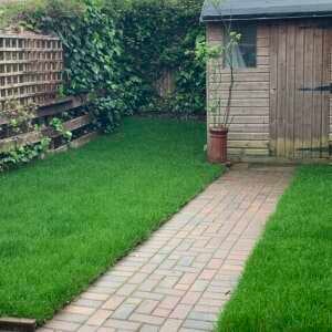 the lawn turf laying company 5 star review on 26th September 2022