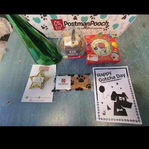 Postman Pooch 5 star review on 29th March 2024