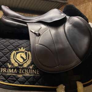 Prima Equine 5 star review on 20th January 2021