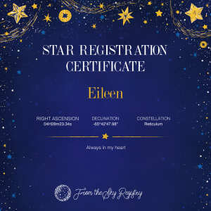 From the Sky Registry - Name a Star Gifts 5 star review on 24th December 2021