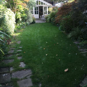 London Lawn Turf Company 5 star review on 10th September 2021