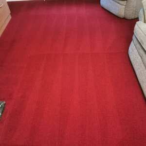 Carpet Bright UK 5 star review on 28th January 2022