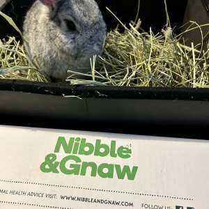 Nibble & Gnaw 5 star review on 14th February 2024