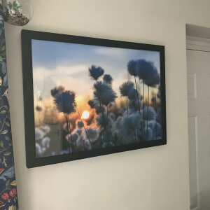 Wallart-Direct 5 star review on 18th April 2024