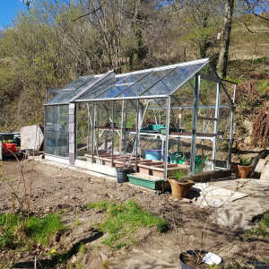 Elloughton Greenhouses 5 star review on 24th April 2021