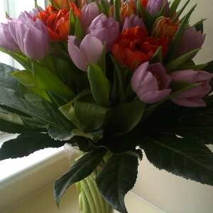 Marylebone Florist 5 star review on 22nd March 2017