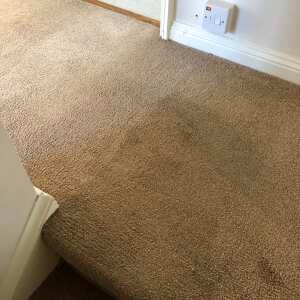 Clean A Carpet 5 star review on 30th November 2020