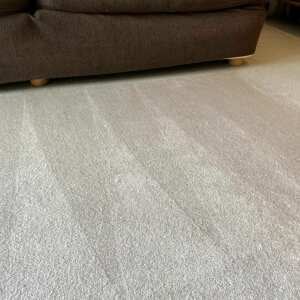CarpetCleaningLondon.com 5 star review on 24th May 2022
