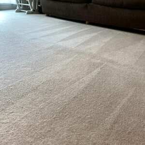 CarpetCleaningLondon.com 5 star review on 24th May 2022