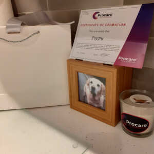 Procare Pet Cremations 5 star review on 4th April 2022