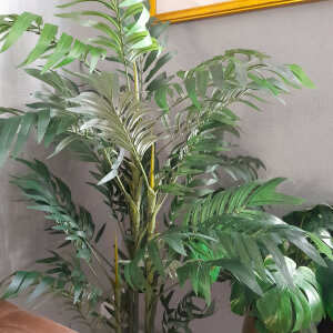 Artificial Eden Ltd Reviews Read Reviews On Artificialeden Co Uk Before You Buy Artificialeden Co Uk Artificial Eden Ltd Reviews Read Reviews On Artificialeden Co Uk Before You Buy Artificialeden Co Uk