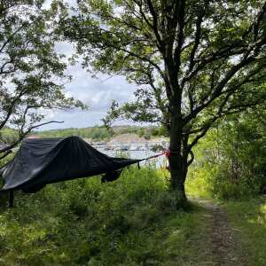 Tentsile 5 star review on 20th September 2022