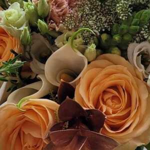 Haute Florist 5 star review on 15th April 2024