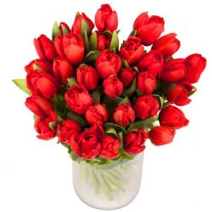 Euroflorist 1 star review on 27th January 2023