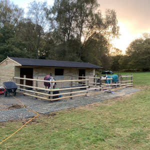 Colt Stables 5 star review on 3rd November 2021