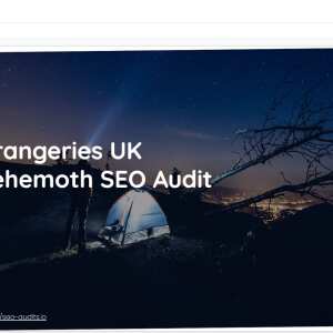 SEO Audits 5 star review on 22nd July 2022