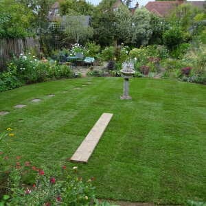 London Lawn Turf Company 5 star review on 4th September 2020