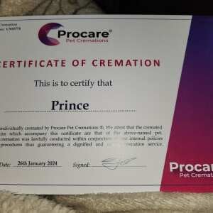 Procare Pet Cremations 5 star review on 4th February 2024
