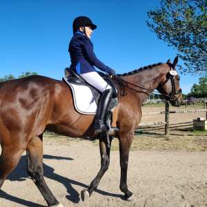 Equiflair Saddlery 5 star review on 18th June 2021