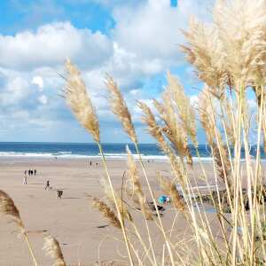 Woolacombe Bay Holiday Parks 5 star review on 16th October 2023