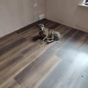 Best4Flooring 5 star review on 14th April 2024