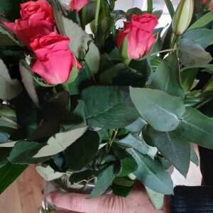 EFlorist 1 star review on 17th March 2024