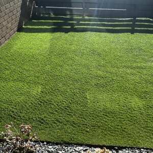 Artificial Grass Direct 5 star review on 11th March 2022