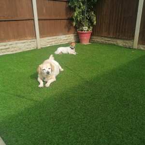Artificial Grass Direct 5 star review on 13th September 2021