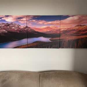 Canada - Easy Canvas Prints 5 star review on 25th October 2022