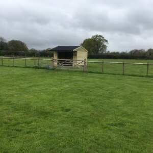 Colt Stables 5 star review on 5th May 2023