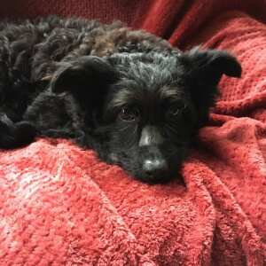 18KB 2001 null null null null 6 2003 null PRC8TvHLm2urM