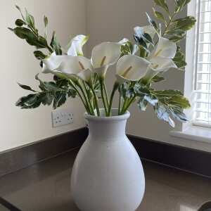 Review Image - Artificial Green Pittosporum Leaves Single Stem