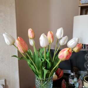 Review Image - Artificial Tulip Arrangement 6 stems / Orange & White