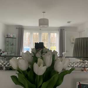 Review Image - Artificial White Open Tulip - Bunch of 6