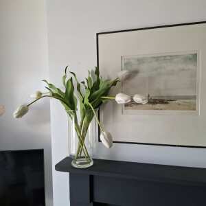 Review Image - Artificial White Tulip 6 stems for the price of 5
