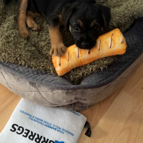 Love the toy. My dog absolutely loves it thank you!