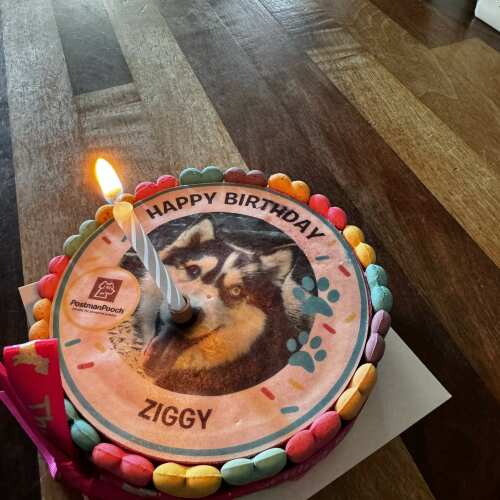 Great looking and tasting (apparently) cake - the first cake type treat that she’s ever wanted to eat! One very satisfied customer!