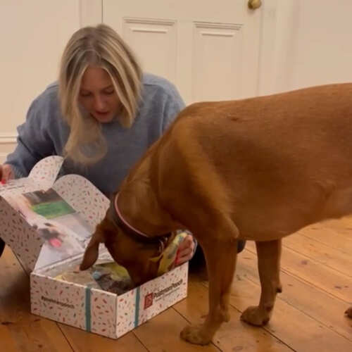 Daughter was delighted with the birthday box for her red fox labradors 2nd birthday 