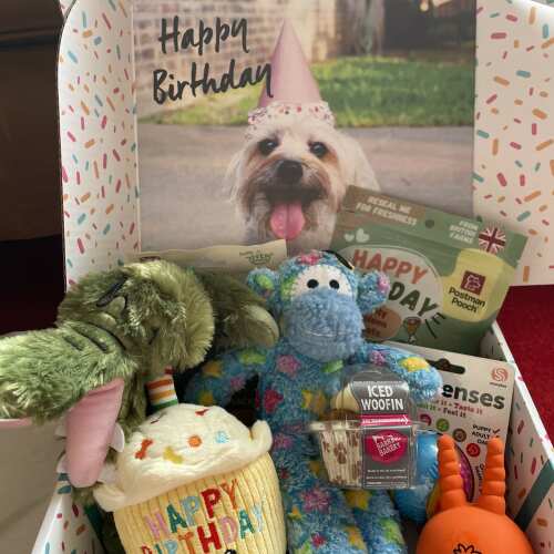 I purchased a bespoke birthday box for Archie’s 10th birthday, he loved it! High quality, fun content! Highly recommend! 