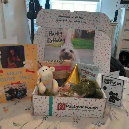 What an amazing  doggy birthday  box. Our  doggy millie.  Absolutely  loved her birthday  box. Full of toys.  And treats.  A birthday cake  and birthday  card.  Well worth the money.  Thank you postman  pooch. 