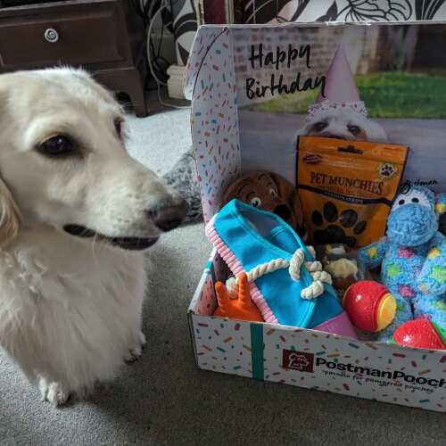 Excellent birthday box, all the toys are fab and great quality. Arrived super fast! Thanks very much, we have a very happy birthday boy! 