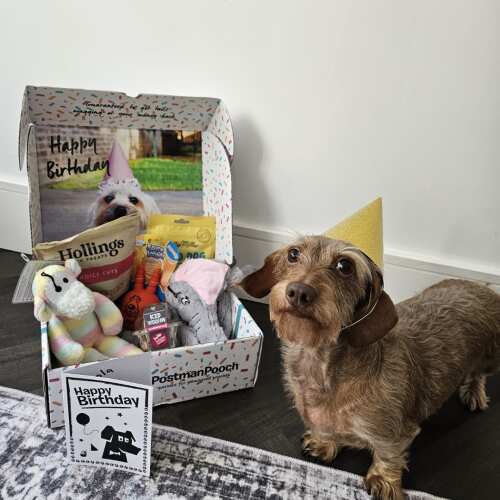 Lola loved her birthday box, she was so excited to get her cupcake and all of her new toys out!