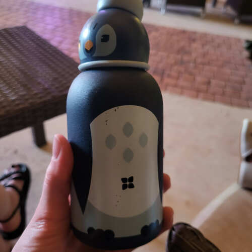 Toddler Bottle Steel review photo