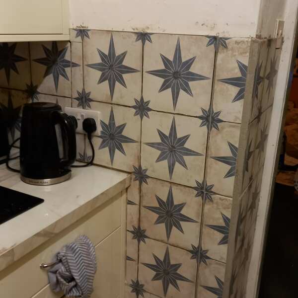 Review by William Brown