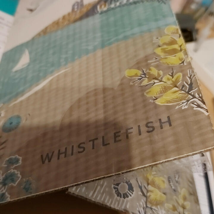 Whistlefish 5 star review on 15th June 2022
