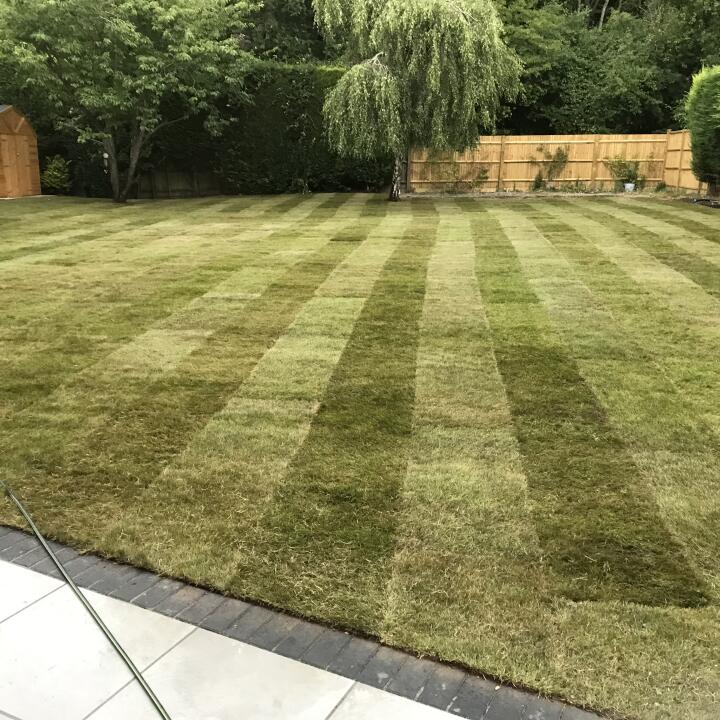 Surrey Lawn Turf Company 5 star review on 21st July 2022