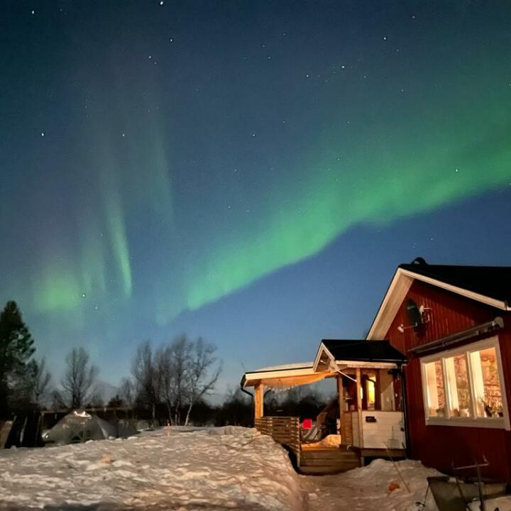 Aurora Nights 5 star review on 21st March 2022