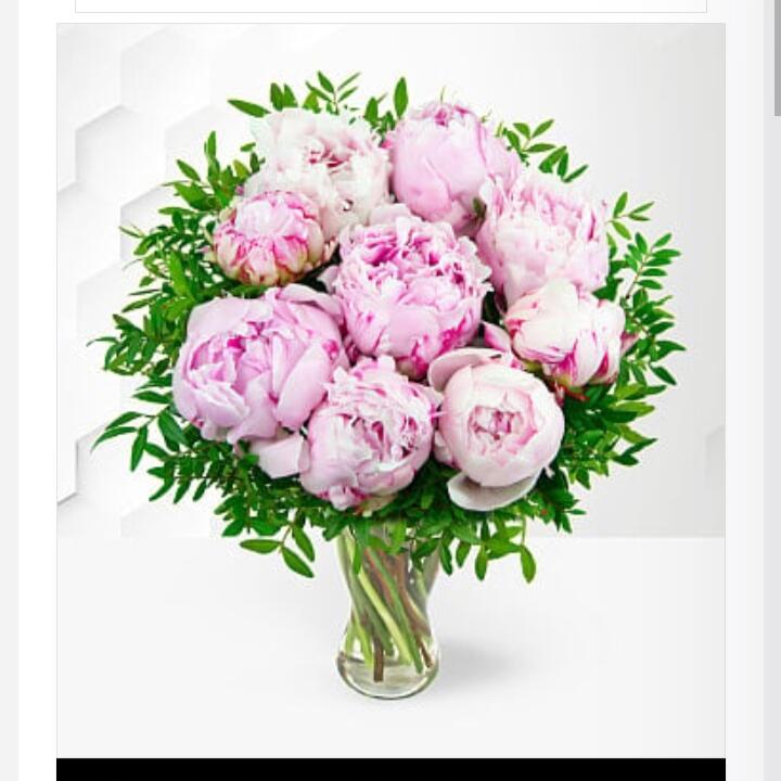 EFlorist 2 star review on 6th June 2023