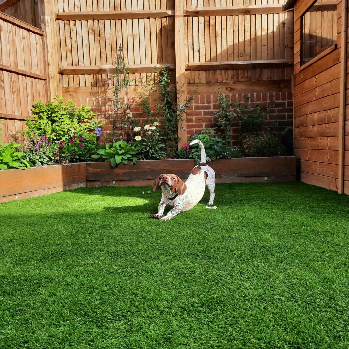 Artificial Lawn Supply 5 star review on 19th June 2024